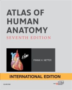 atlas of human anatomy pdf elsevier