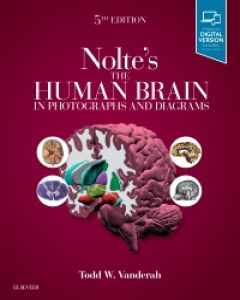 neurology and neurosurgery illustrated 5th pdf free download