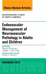 Endovascular Management of Neurovascular Pathology in Adults and Children, An Issue of Neuroimaging Clinics