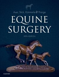 Equine Surgery