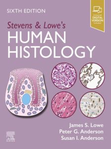 Stevens & Lowe's Human Histology - E-Book