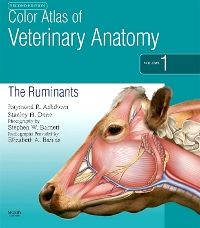 Color Atlas of Veterinary Anatomy, Volume 1, The Ruminants E-Book