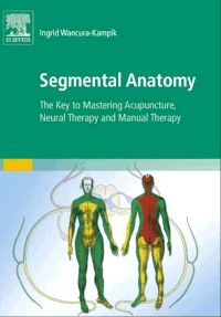 Segmental Anatomy