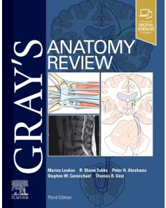 Gray's Anatomy Review