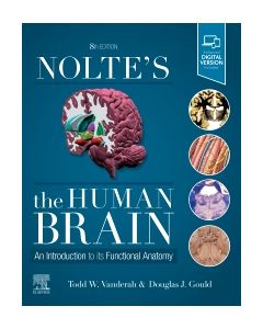 Nolte's The Human Brain