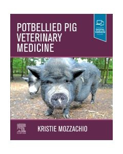 Potbellied Pig Veterinary Medicine