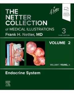 The Netter Collection of Medical Illustrations: Endocrine System, Volume 2