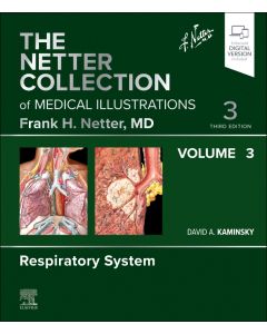 The Netter Collection of Medical Illustrations: Respiratory System, Volume 3