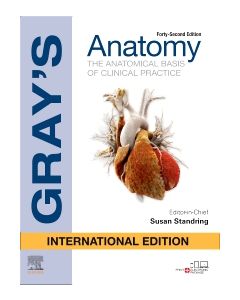 Gray's Anatomy International Edition