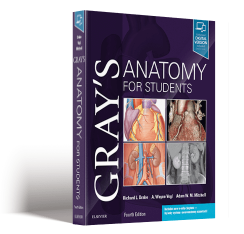 Gray's Anatomy for Students, 4th edition